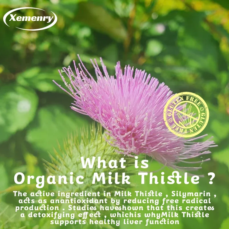 Liver Detox Cleanse - with Mil - огляд і ціна Milk Thistle Silymarin