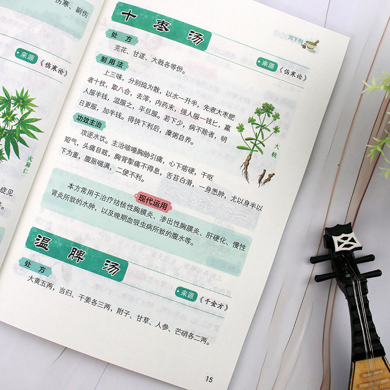 Classic TCM Special Remedies & - огляд і ціна Herbal Wellness Formula