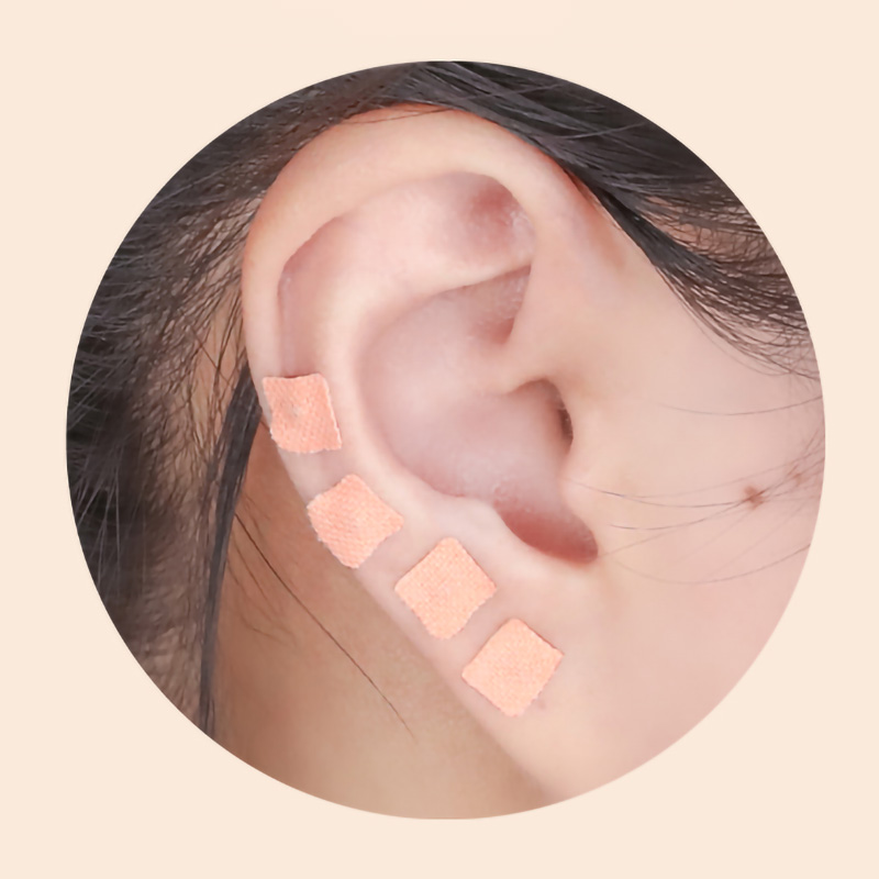 600Pcs Cowherb Seed Ear Sticke - огляд і ціна Herbal Wellness Massage